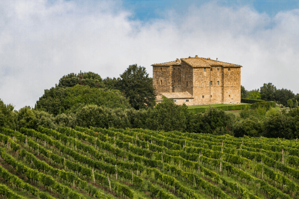 Vína na dovolenke v Taliansku